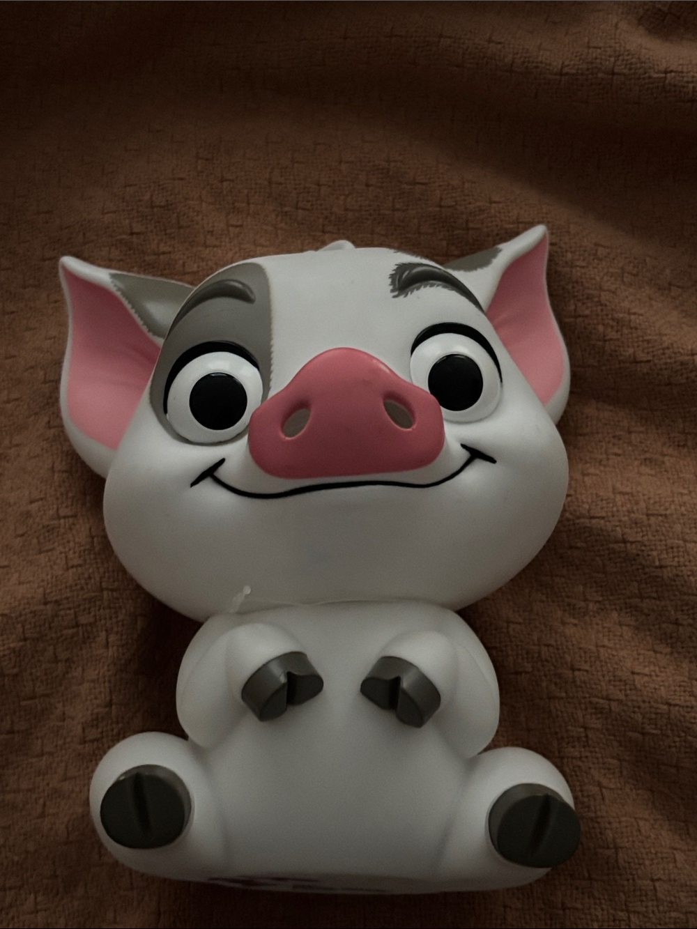 Disney Moana Pua decor